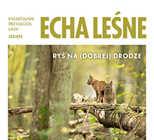 Kafelek - Echa Leśne